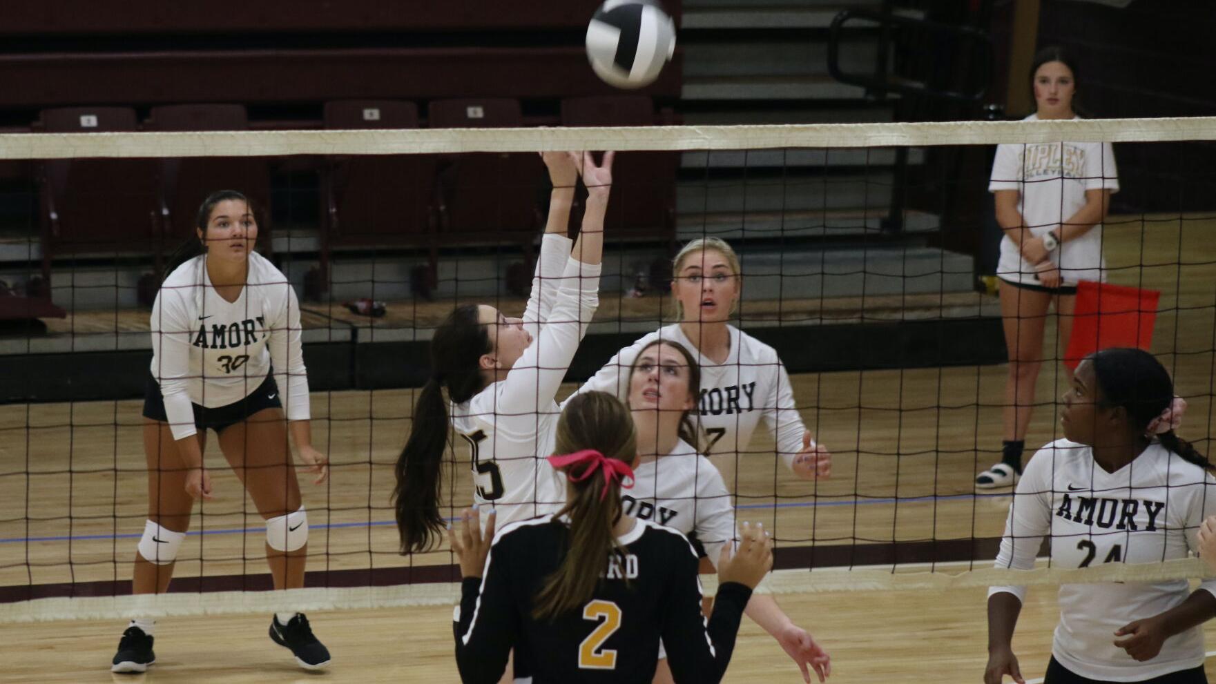 Bulldog Bash swings volleyball season into action